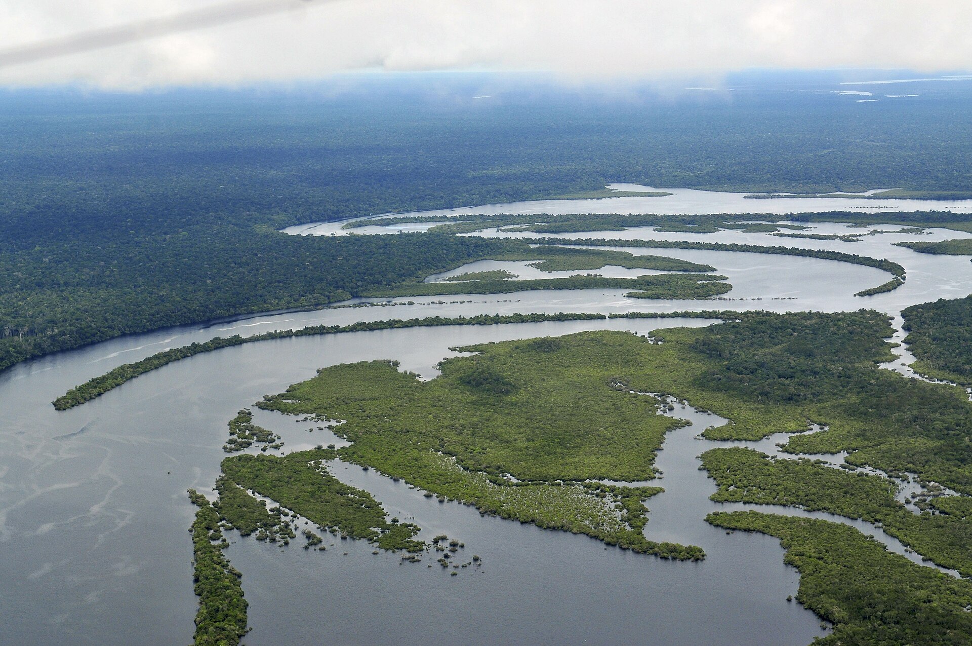 Amazonas regnskog sedd ovanifrån